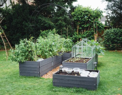 Cos'è un giardino sopraelevato e come costruirlo
