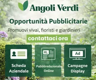 banner adv angoliverdi